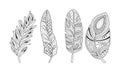 Collection of stylized feathers, black and white tribal, artistically drawn feather, pattern for coloring page, tattoo