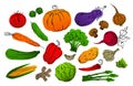 Collection of stylized gradient filled and black hand drawn outlines vegetables