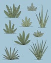 Stylized Grass Clumps - Vector Illustration Royalty Free Stock Photo