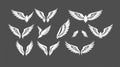 Elegant Wing Designs: Vector Set Royalty Free Stock Photo