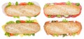Collection of sub sandwiches whole grains ham salami cheese salmon fish from above isolated on white Royalty Free Stock Photo