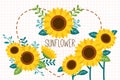 The collection of sunflower set on the white background in flat vector style. Royalty Free Stock Photo