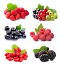 Collection of sweet berries Royalty Free Stock Photo