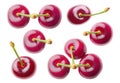 Collection of sweet cherries top view isolated on white background Royalty Free Stock Photo