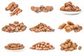 Collection of Tamarind on a white background clipping path Royalty Free Stock Photo