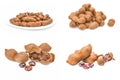 Collection of Tamarind on a white background. Clipping path Royalty Free Stock Photo