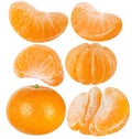 Collection of tangerine. Slices and cut of citrus fruit isolated on white background. Tangerine, mandarin, clementine.