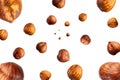 Collection of tasty crispy Hazelnut falling isolated on white background. Selective focus Royalty Free Stock Photo