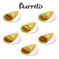 collection of tasty mexican burrito on plate icon