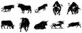 Collection of ten black bull silhouettes in various poses on white Royalty Free Stock Photo