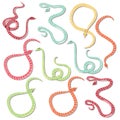 Collection of ten colorful striped snakes hand drawn Royalty Free Stock Photo