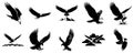 Collection of ten different eagle silhouette vector illustrations art Royalty Free Stock Photo