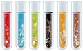 Collection of Test Tubes