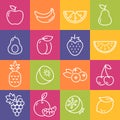 Fruit Icons Set