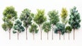 Collection of Tree Illustrations Generative AI Royalty Free Stock Photo