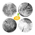 Collection of tree rings background. For your design conceptual graphics. Wood texture of a flat chopped cross section of cracked