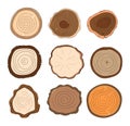 Collection of tree rings, top view, different shapes and patterns. Set of cross section tree trunks, natural elements