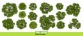 Trees top view for landscape vector illustration. Royalty Free Stock Photo