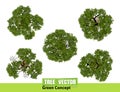 Trees top view for landscape vector illustration. Royalty Free Stock Photo
