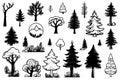 collection trees. Ink sketches set isolated on white background. Hand drawn vector illustration