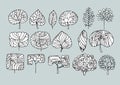 Collection Of Trees, Isolated on a gray background.Art sketching