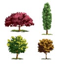 Collection trees with leaves, set of different deciduous trees, isolated, vector illustration on white