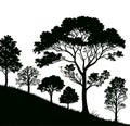 Collection of Trees Line Drawing Silhouette