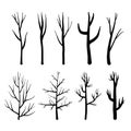 Collection of trees silhouettes, Isolated naked trees set on white background.