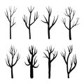 Collection of trees silhouettes, Isolated naked trees set on white background. Royalty Free Stock Photo