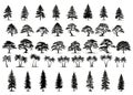 The collection of trees silhouettes isolated on white background. Big Vector cartoon set with sapling for forest