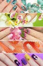 Collection of trendy colorful various manicure .