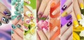 Collection of trendy colorful various manicure .