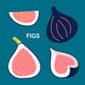 Collection of tropical fruit figs isolated on blue background. Vector hand drawn illustration of exotic fruit whole and sliced Royalty Free Stock Photo