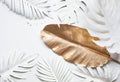 Collection of tropical leaves,foliage in elegance style with golden,silver color.Abstract leaf decoration design