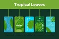 Collection tropical leaves label on rope vector flat illustration. Promo tag with exotic plant Royalty Free Stock Photo