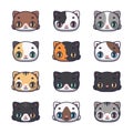 Collection of twelve cute cats with various coat colors