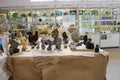 Table with a collection of stones