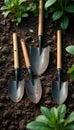 A collection of used gardening tools on the ground, garden supplies, rusty Royalty Free Stock Photo