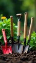 A collection of used gardening tools on the ground, natural light, summer, gardening tools Royalty Free Stock Photo