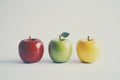 Collection of various apple varieties displayed side by side on a white background. Royalty Free Stock Photo