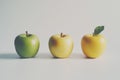 Collection of various apple varieties displayed side by side on a white background. Royalty Free Stock Photo