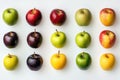 Collection of various apple varieties displayed side by side on a white background. Royalty Free Stock Photo