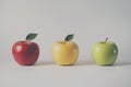 Collection of various apple varieties displayed side by side on a white background. Royalty Free Stock Photo