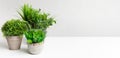 Collection of various artificial plants in different pots Royalty Free Stock Photo