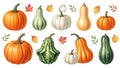 Assorted autumn squashes and pumpkins Royalty Free Stock Photo