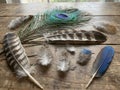 Feather Collection on Wood Royalty Free Stock Photo