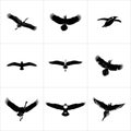 Collection of various bird species in flight silhouette on white Royalty Free Stock Photo