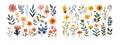 Collection of Various Blooming Flowers and Leaves in Vector Illustration Royalty Free Stock Photo