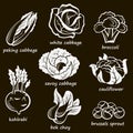 Cabbage images set