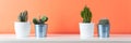 Potted cactus house plants on white shelf against coral orange colored wall. Cactus plants banner.